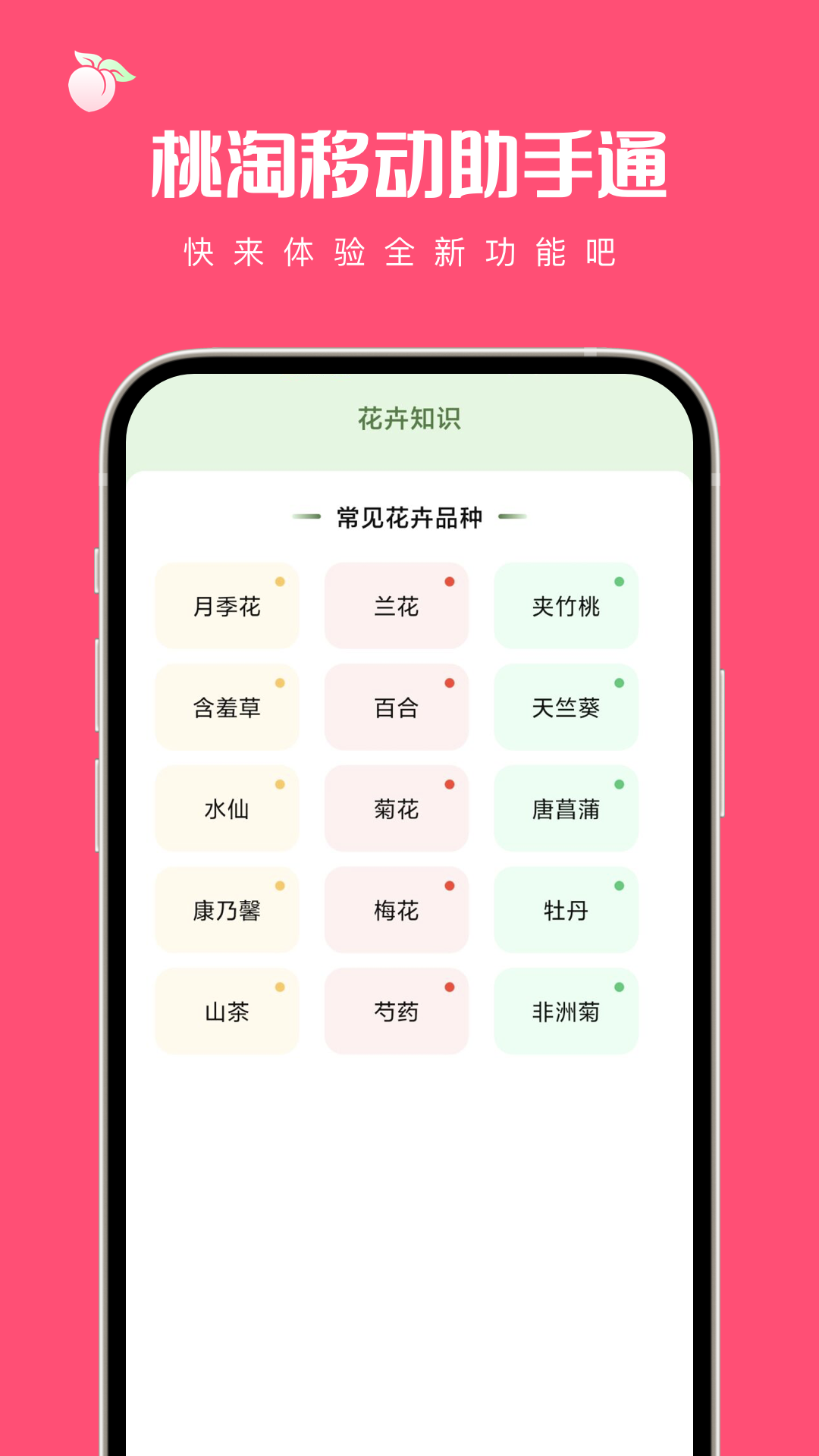 桃淘移动助手通工具箱软件下载免费 v1.0.0