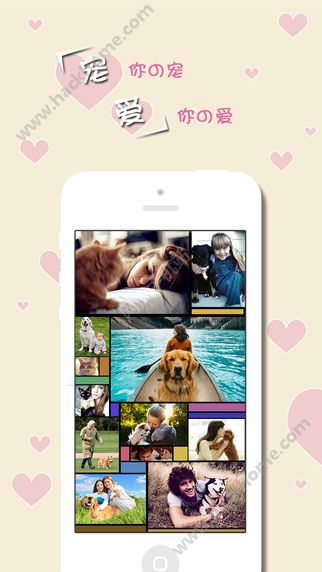 宠爱宠物社交app官网下载 v2.8.99