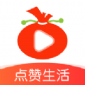 葱花视频app官方版下载 v1.2.4