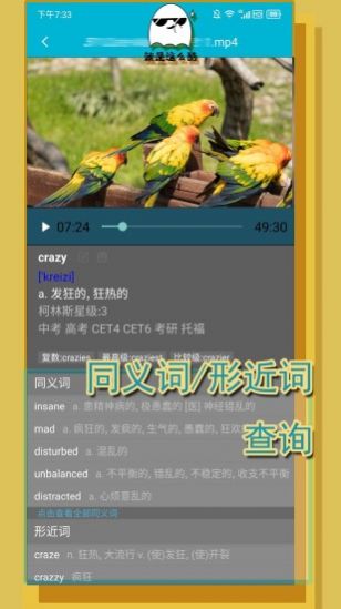 单词播放器官方版app软件下载 v1.0.0