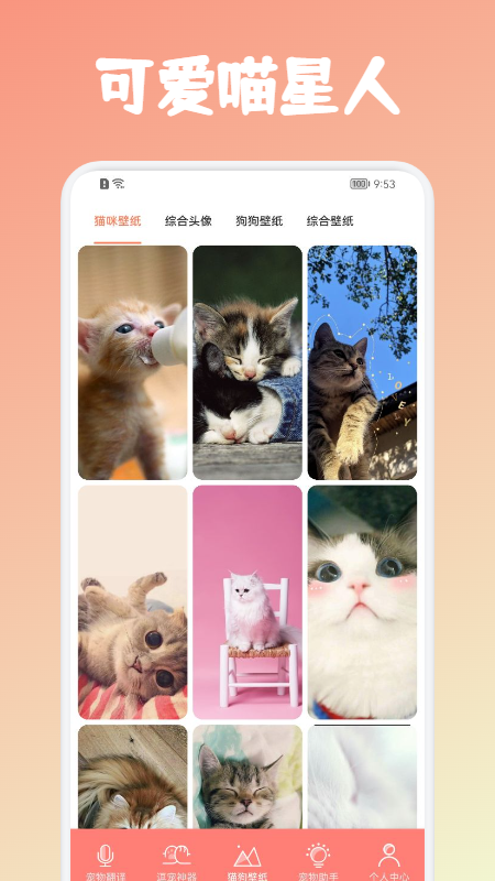 安猫宠物交流工具app最新版下载 v1.0